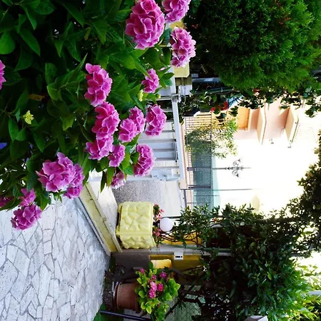 Penzion In Guest - New Cirene Economy Single With Breakfast Rimini